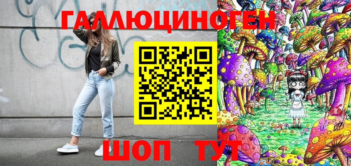 Ярцево  Псилоцибиновые грибы мицелий  Вход с VPN  Галлюциногенные грибы прущие грибы 